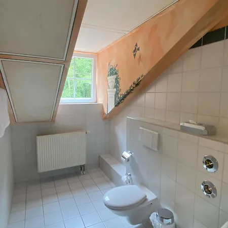 Hotel Zum Maximilian 3* Бад-Файльнбах
