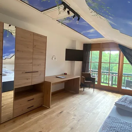 Отель Hotel Zum Maximilian 3*